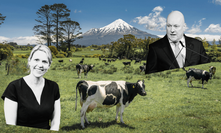 Climate Change Commission chief executive Jo Hendy and prime minister Christopher Luxon. (Photos: Getty Images; supplied. Composite image: The Spinoff) 
