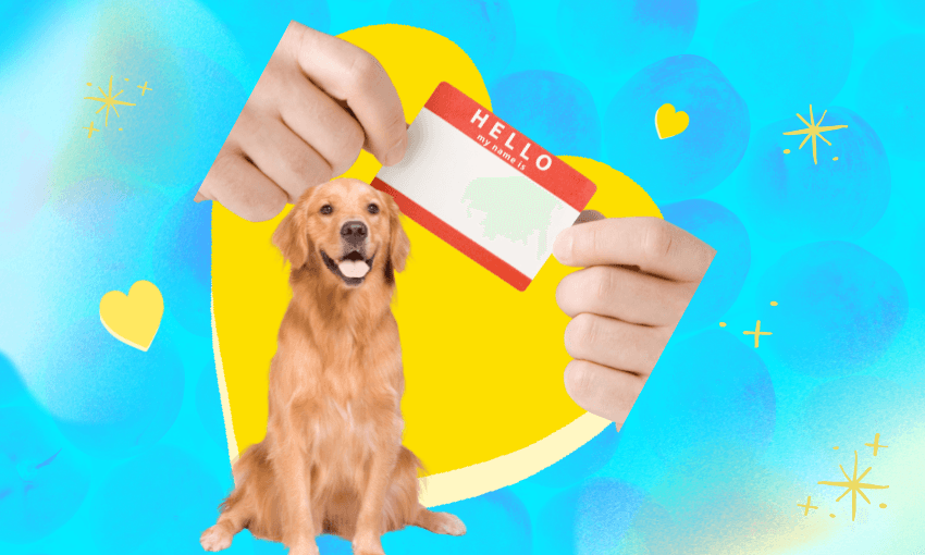 dating files blue template with a yellow heart. overlaid are a golden retriever dog and hands holding a name tag