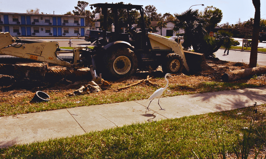 Amid proposed changes to conservation law, can Florida serve as a ...