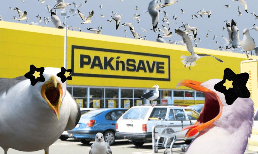 An artist’s impression of the gulls at Pak’nSave Moorhouse. (Composite image: Tina Tiller/The Spinoff) 
