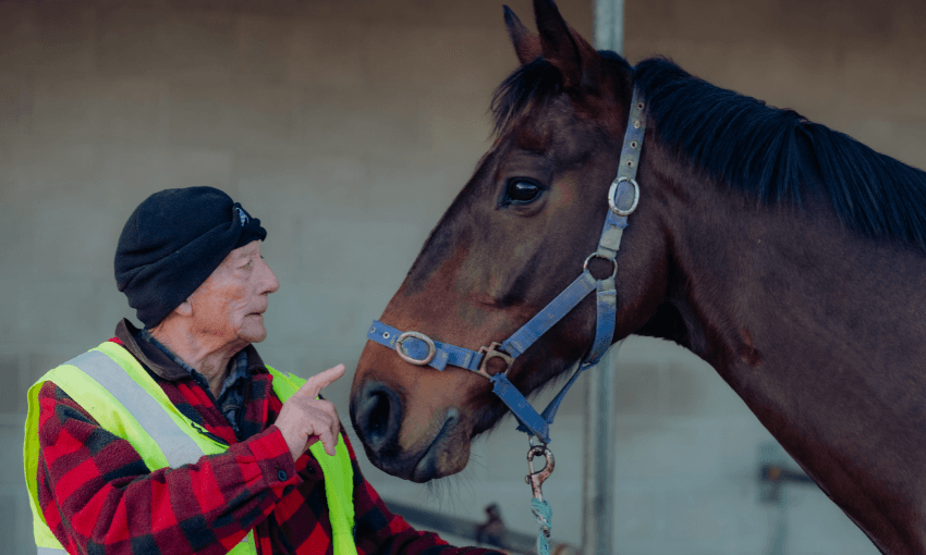 A photo of a man wearing hi-vis and a beanie with a horse. The man is talking to it. The horse is relaxed.