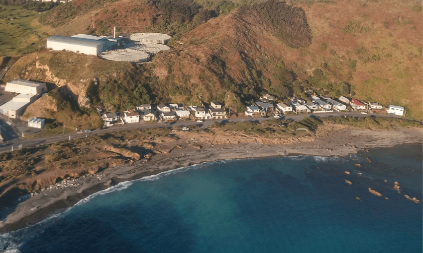 Moa Point from above. (Photo: Andrew Harvey/Creative Commons) 
