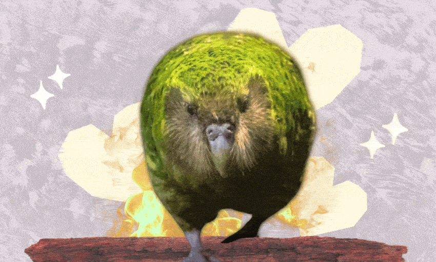 A round, green, mossy animal with a small face and short legs stands on a red surface, with a yellow abstract background and sparkles.