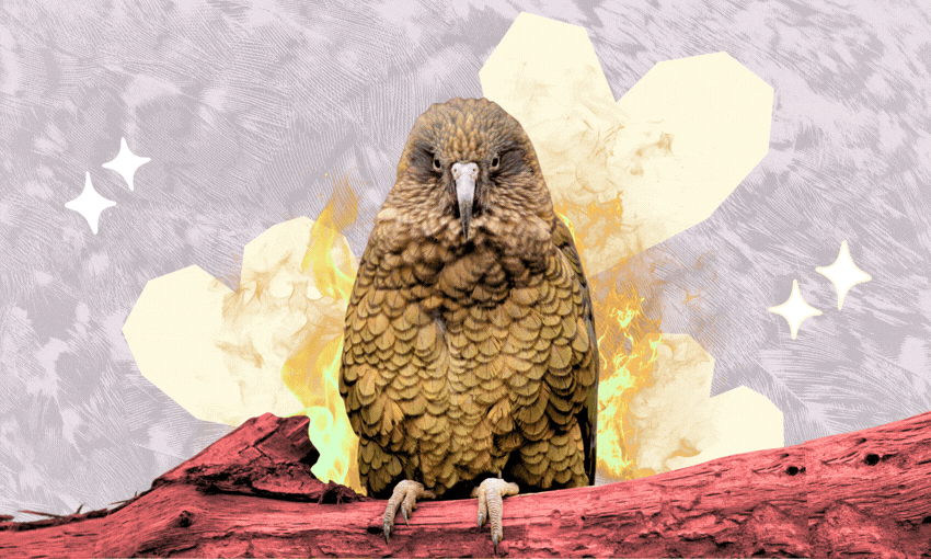 A brown parrot with textured feathers perches on a red branch, with abstract yellow shapes, fire-like elements, and white stars in the gray background.