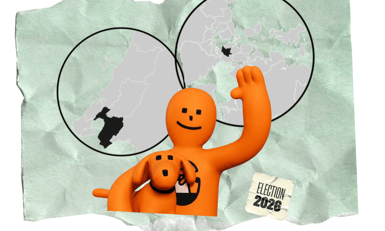 Left to right: Hutt South, a voter (probably), Mt Albert (Design: The Spinoff) 
