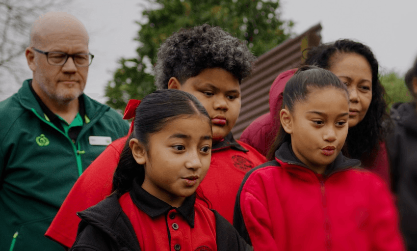 Students in New Zealand grow bee garden to help ecosystem