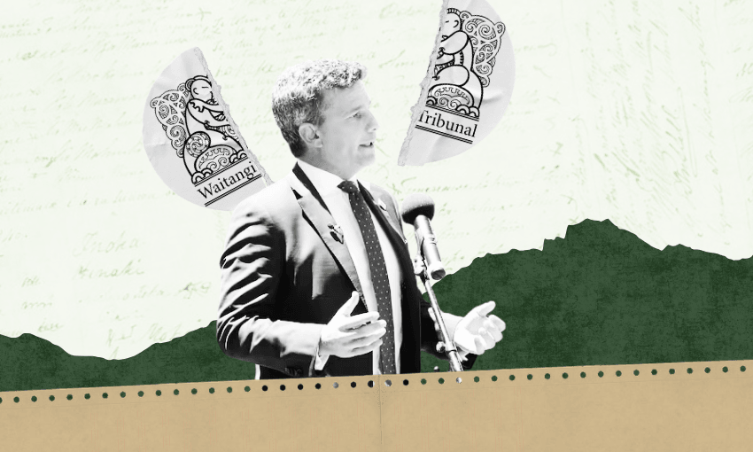 A man in a suit speaks at a microphone. Two illustrated flags behind him read “Waitangi” and “Tribunal.” The background is a collage of green hills and handwritten text.