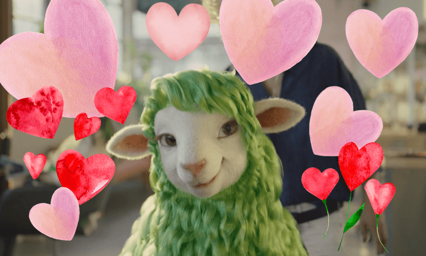 Hundreds of people on social media are posting about being attracted to Kiwibank’s sheep. (Image: The Spinoff) 
