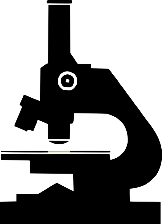 Early Career Researcher Forum