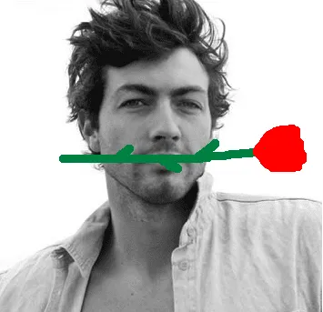 the bachelor