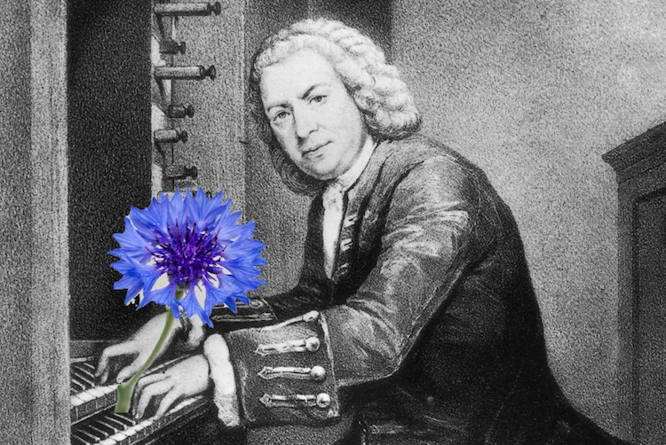 bach