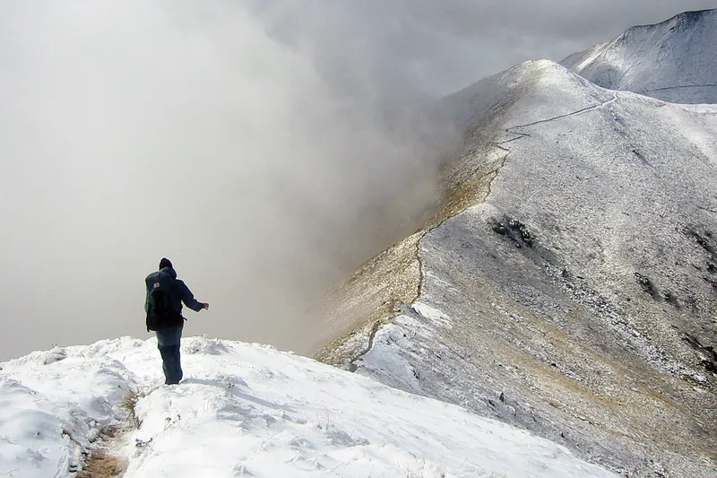 Alpine section of the Kepler Track, South Island, New Zealand.