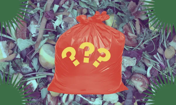 a cool blue toned background of food scraps with green starbursts at the corners and a rubbish bag that is red and has several yellow question marks on it