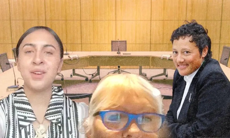 A collage image with the select committee hearings room in the background and three women in the foreground who submitted on the treaty principles bill. Two are former MPs Kiri Allan and Sandra Goudie