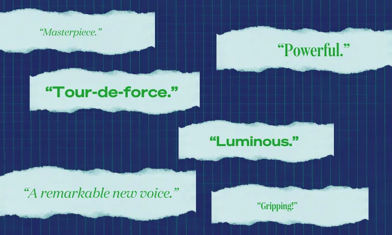 Images of endorsements commonly found on books: "tour-de-force", "luminous", "powerful"