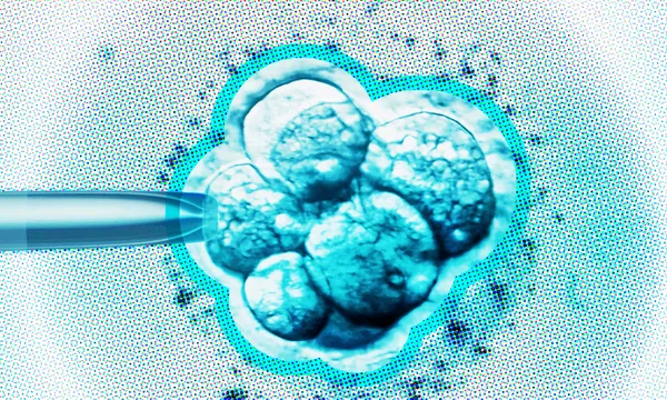 A digitally edited image shows a cluster of rounded cells in shades of blue, resembling an embryo under a microscope. A pipette-like object approaches from the left, suggesting a scientific or medical procedure. Bright, high-contrast lighting accentuates the texture.