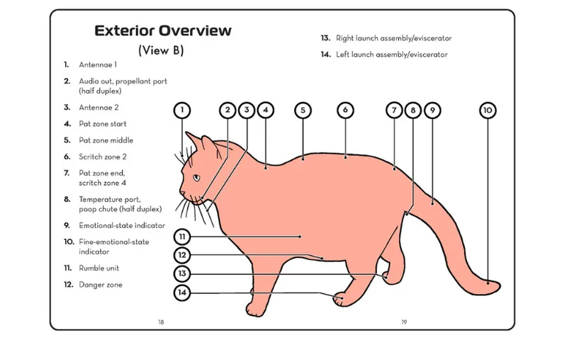A diagram of a cat with a key showing all the parts of the animal.