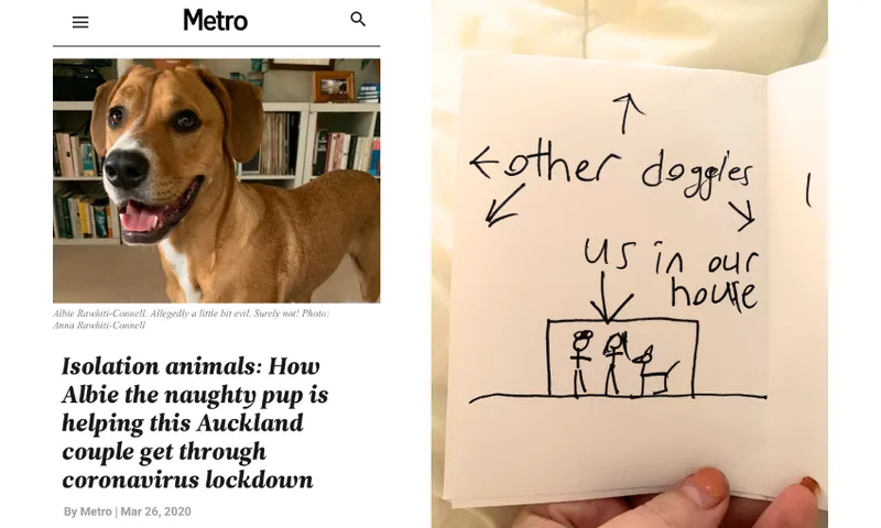 A screenshot shows a Metro article on the left with a photo of a dog and headline about pets during lockdown. On the right is a hand-drawn image of a house with "us in our house" and "other doggies" labeled outside.