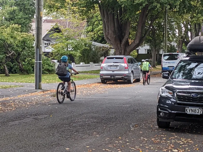 a suburban street with parked cars and big trees and two kids cycling