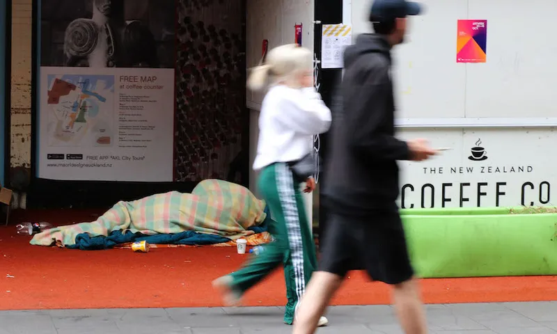 Rough Sleeper in New Zealand