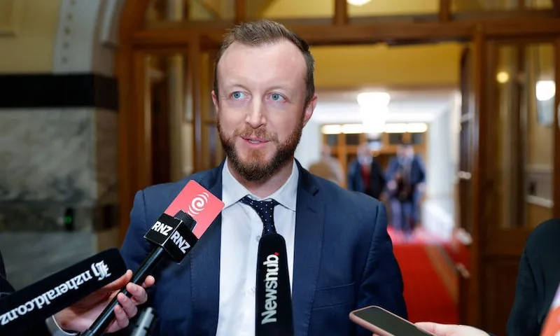 Local government minister Kieran McAnulty at parliament
