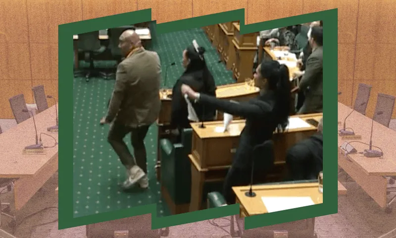 Rawiri Waititi, Debbie Ngarewa-Packer and Hana-Rawhiti Maipi-Clarke doing a haka in a legislative chamber. The chamber is wood-panelled with green flooring and empty seats visible.