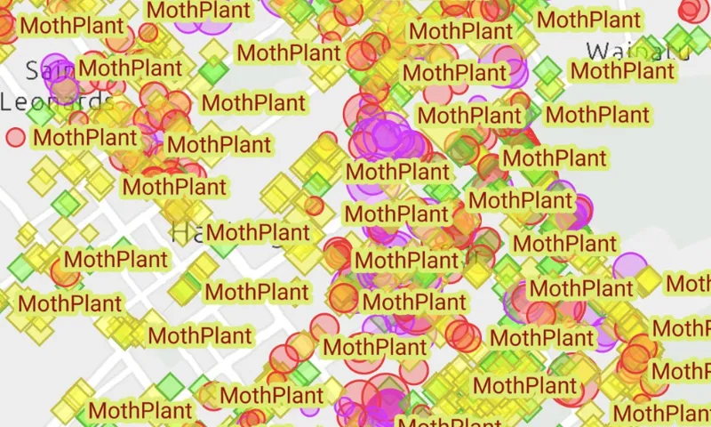 map over paid with yellow, orange, red anf purple dots labelled moth plant. so many dots and labels it is total chaos
