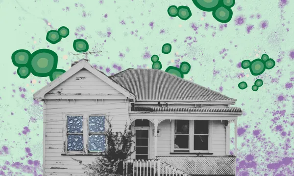 A rundown house with white weatherboard is pictured on a background of mould. There are illustrated mould spores surrounding it. It feels gray, cold and uninviting.