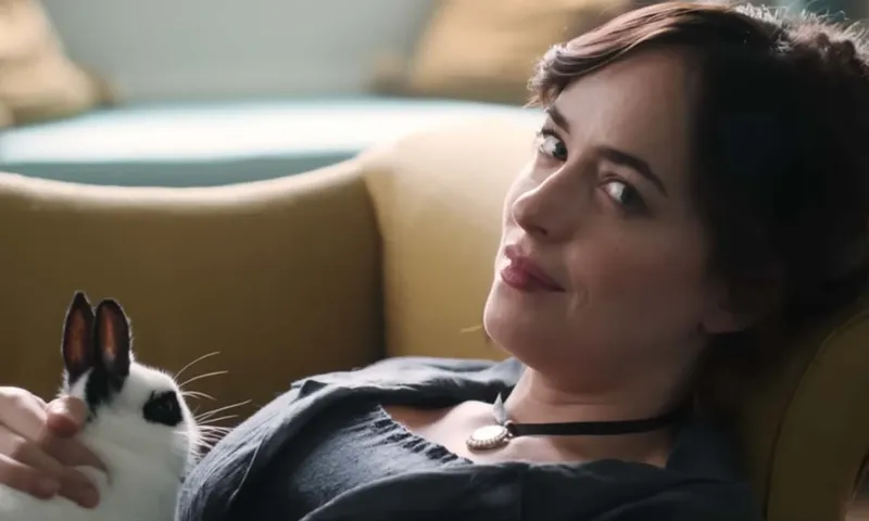 Actor Dakota Johnson lying on a couch with a black and white rabbit on her lap. She is looking at the camera.