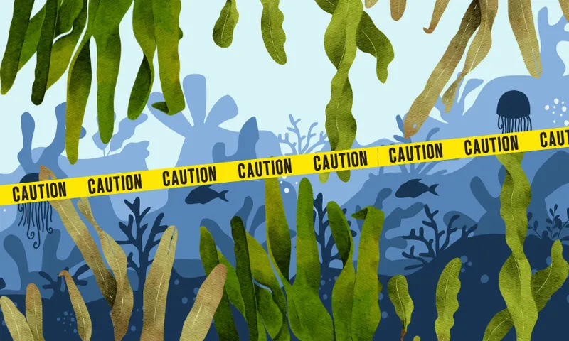 Illustration of an underwater scene with seaweed, fish, and a jellyfish, blocked by yellow caution tape stretching across the center of the image.