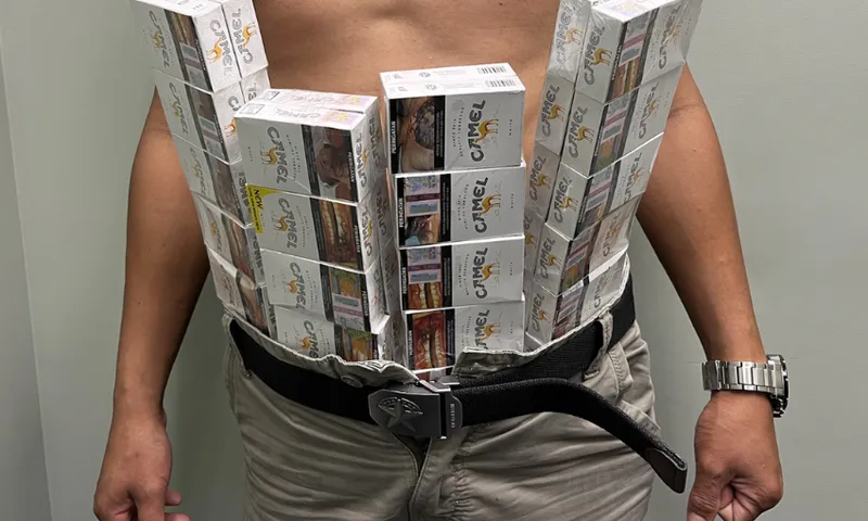 A person wearing dozens of stacked Camel cigarette packs strapped to their bare chest and waist with a belt, standing against a plain background.