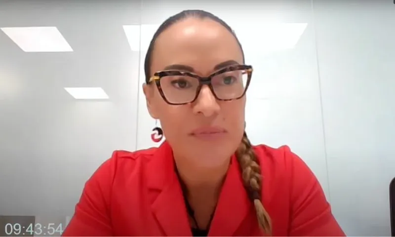 Lawyer Tania Waikato speaks in a livestream for the tribunal's regulatory standards bill urgent hearing.