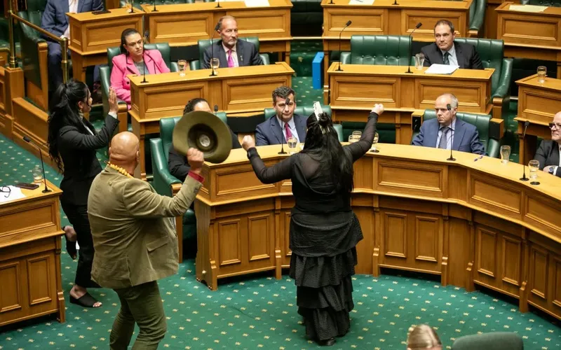 Two people stand and perform with cymbals and raised arms in the center of a parliamentary chamber, while seated officials watch from their desks. The room features green carpeting and wooden desks arranged in a semicircle.