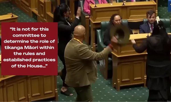 A still from a video showing three people performing a haka in parliament, standing in front of government MPs