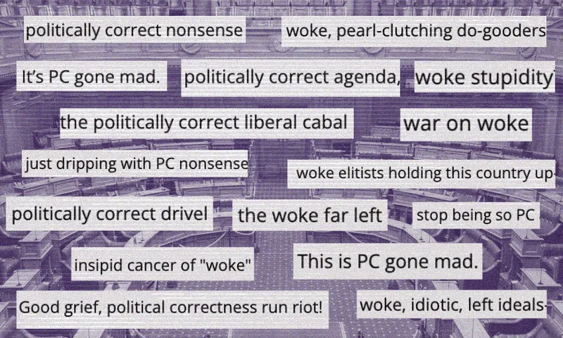 A collage of phrases criticizing political correctness, such as "woke stupidity," "PC gone mad," and "the woke far left," is overlaid on a grayscale image of a government assembly chamber.