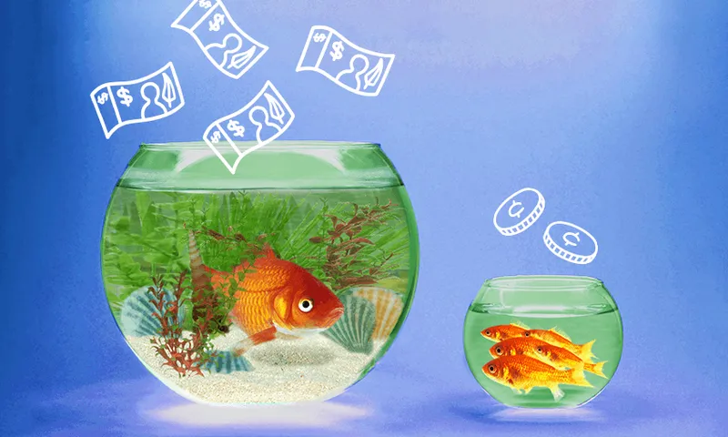 Two bowls of goldfish: one is big with lots of lovely plants and only one fish; the other is small and crammed with four fish. Cash is falling into the bowls – loads of notes into the big bowl, a couple of coins into the smaller.