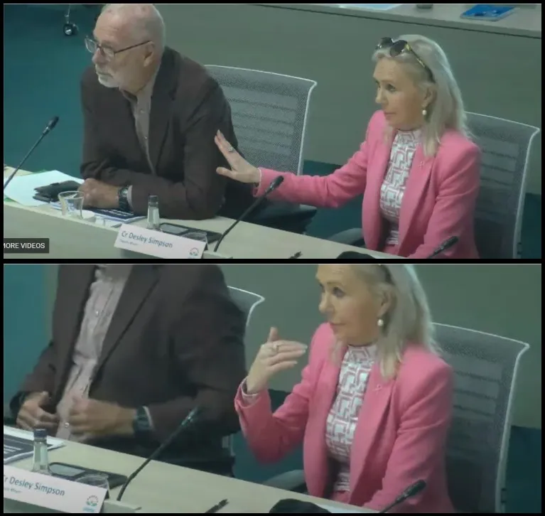Two people sit at a conference table. The woman in a pink blazer gestures while speaking, and the man in glasses and a brown jacket listens. Both images show them engaged in conversation. Nameplates are visible in front of them.