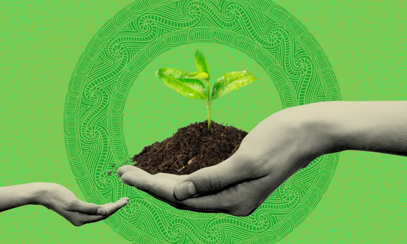 A collage shows two hands. The hand in the centre holds a handful of soil with a small green plant just emerging from it. It is passing this plant to another hand reaching in from the other side of the collage. The background is green with a circular, graphic pattern.