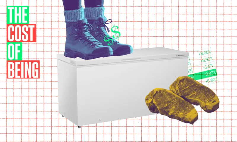hiking books, beef steaks and a chest freezer