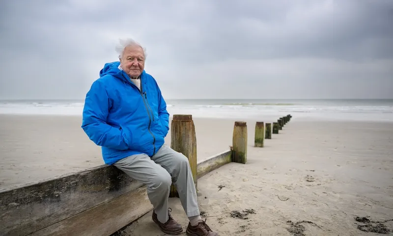 David Attenborough wears a blue jacket and sits on a wooden fence on a sandy beach with grey skies behind him