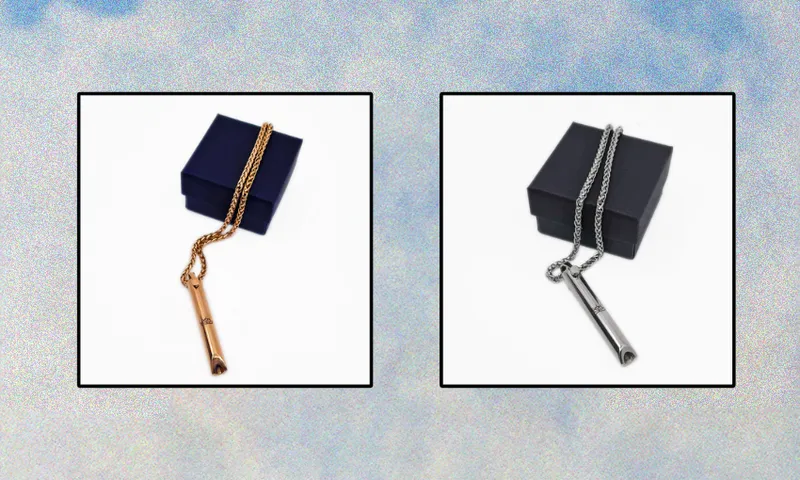 an image of a silver and gold necklace with a whistle-like pendant at the end