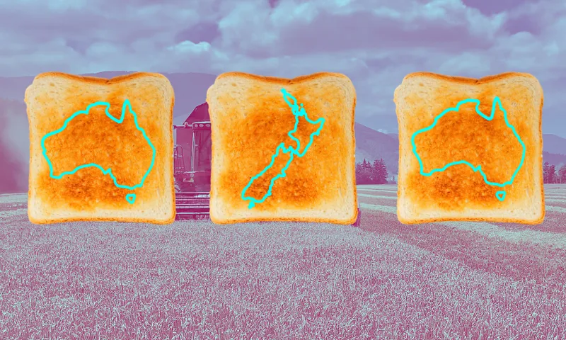 a purple wheat field background and some slices of toask with NZ and australian outlines on them