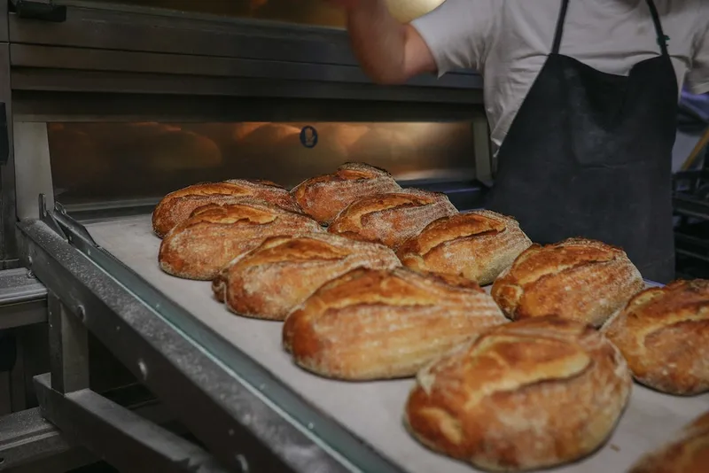 lots of delicious sourdough loaves coming out of an oven