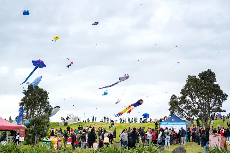 kites flying above a public park