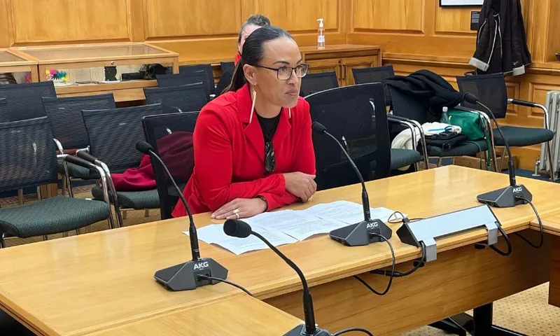 Tania Waikato sits in select committee room 4 for the RSB oral hearings.