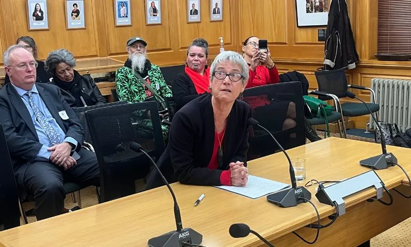 Jane Kelsey speaks to her submission on the RSB in select committee room 4.