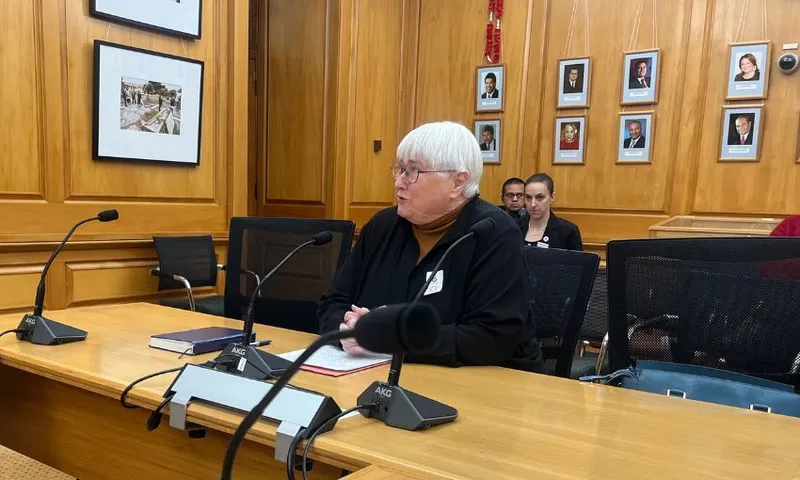 Marian Hobbs, former environment minister, submits on the regulatory standards bill in parliament's select committee room 4.