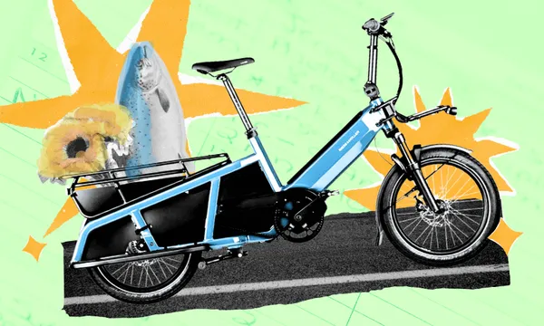 A blue cargo bike with a sunflower and a fish in the back basket is shown on a green background with orange starburst shapes.