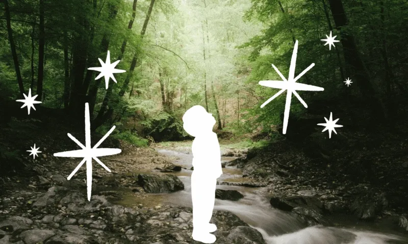 A forest with the silhouette of a small boy standing in awe with sparks all around him.
