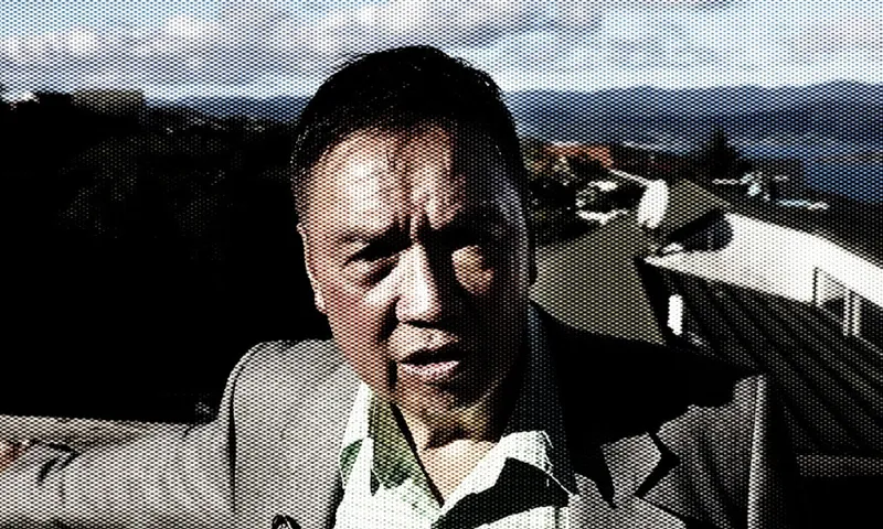 a man in a green shirt and grey jacket. Hills in the background.
